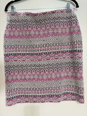 RD Style Pencil Multicolored Large Skirt